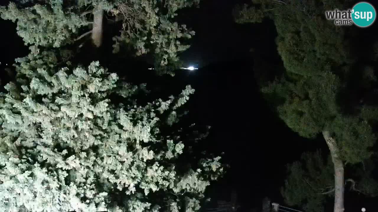 Lumbarda resort – livecam Korčula