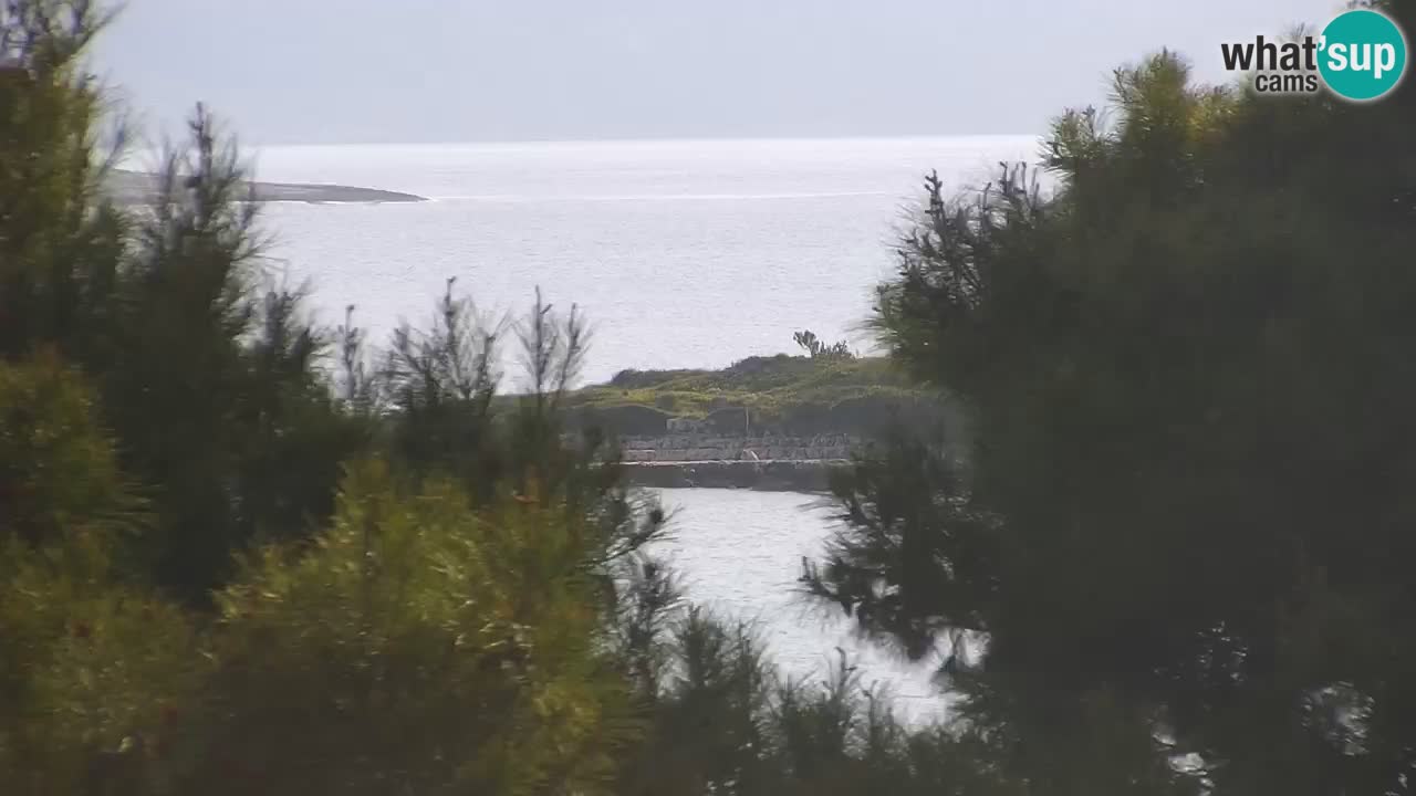 Lumbarda resort – livecam Korčula