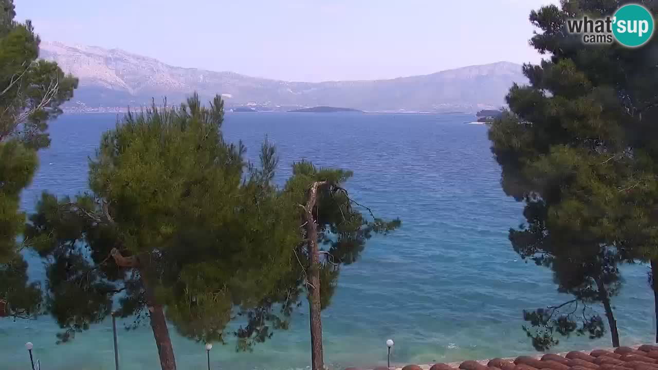 Lumbarda Resort camera en vivo Korčula
