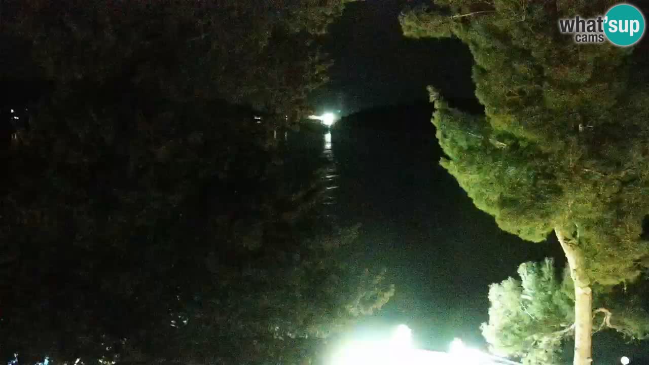 Lumbarda Resort camera en vivo Korčula