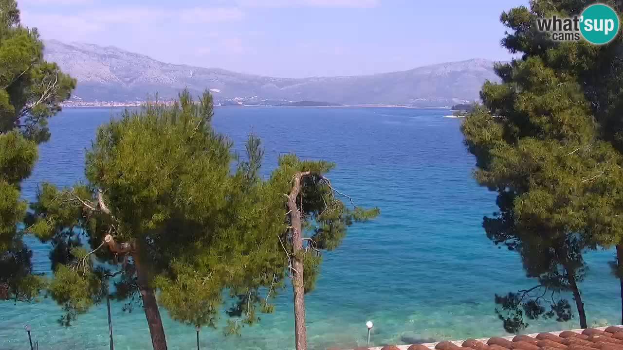 Lumbarda resort Webcam Korčula