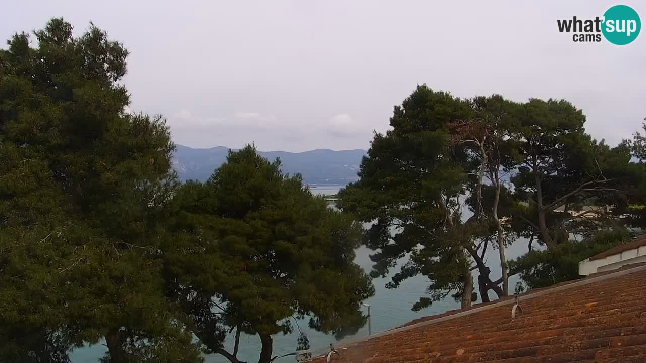Lumbarda resort Webcam Korčula