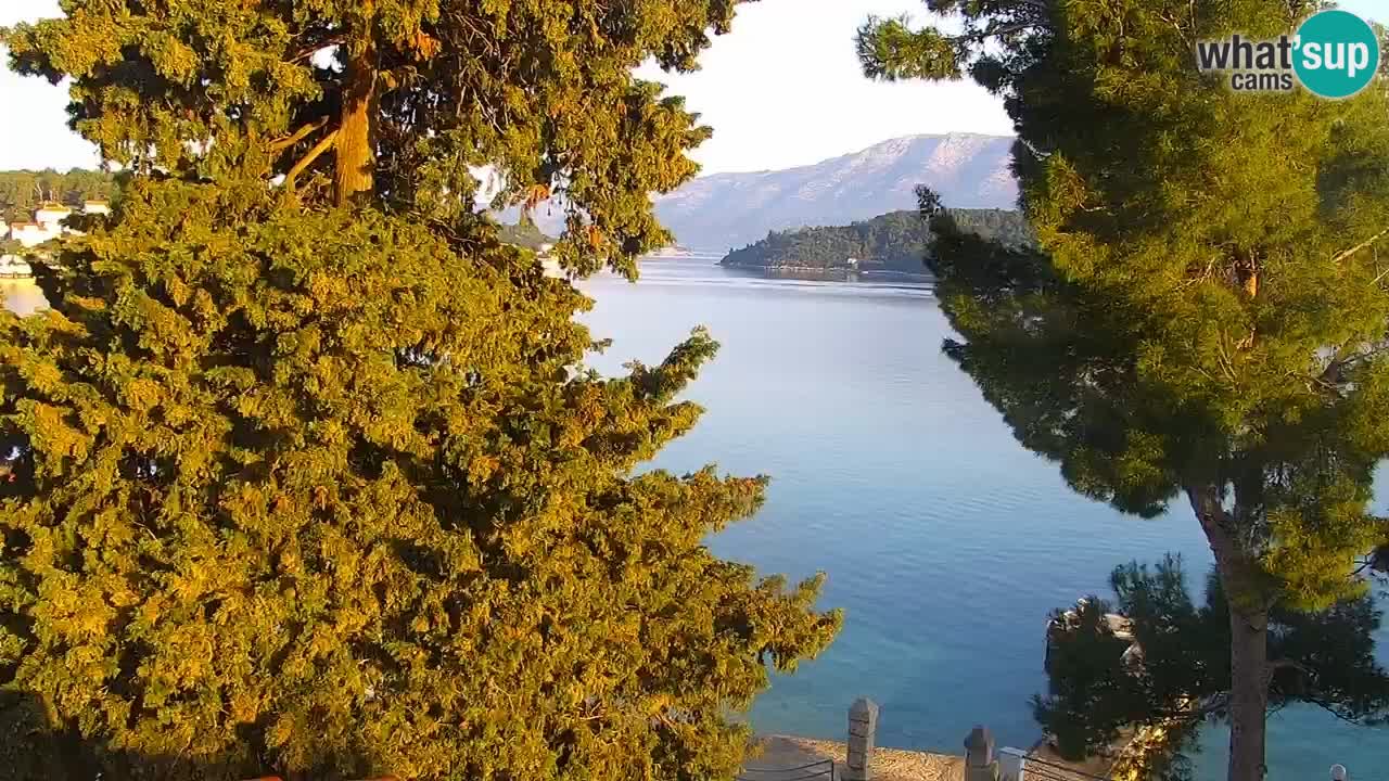 Lumbarda Resort webcam Kurzel