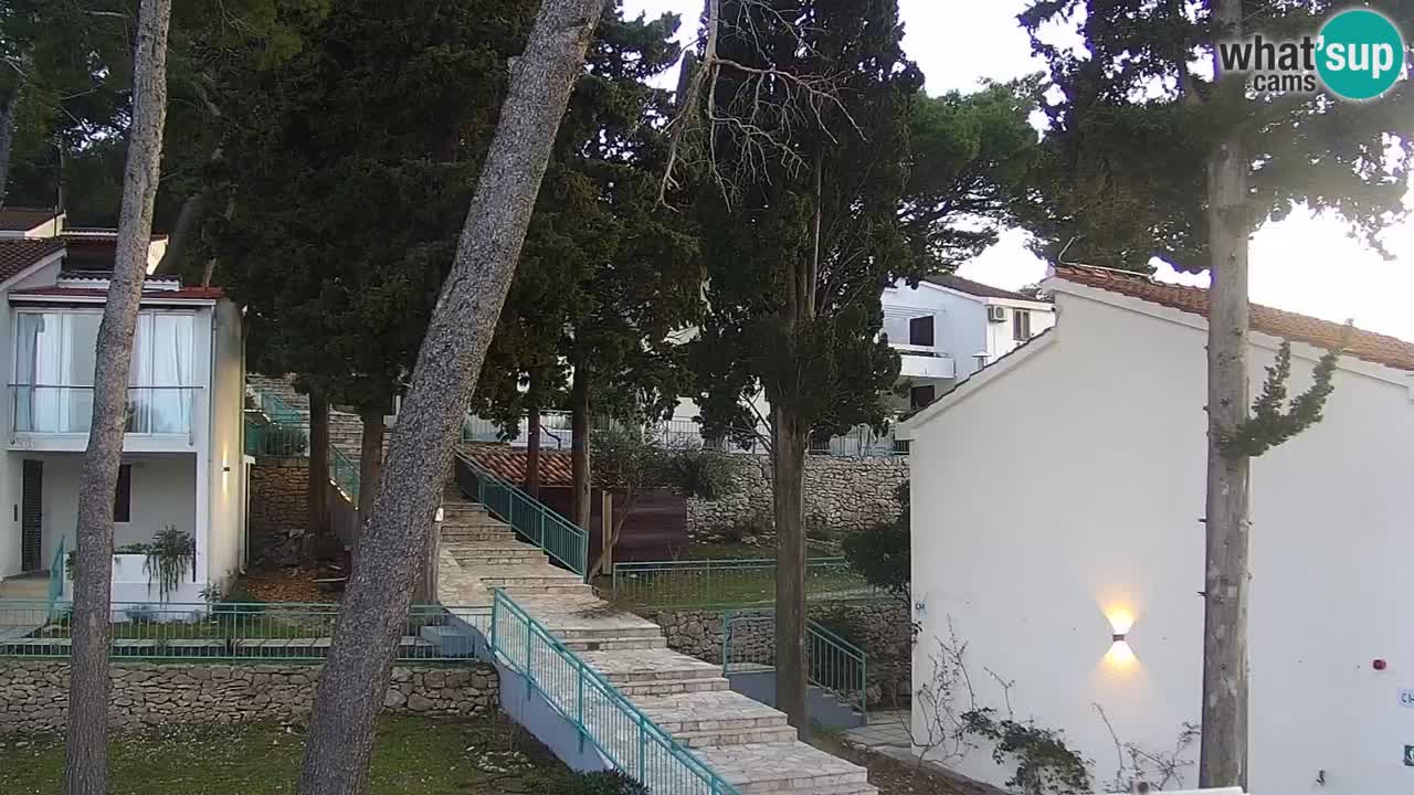 Lumbarda resort – livecam Korčula