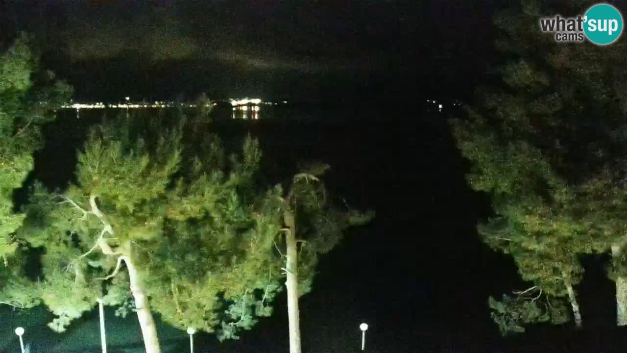 Lumbarda resort Web Kamera Korčula