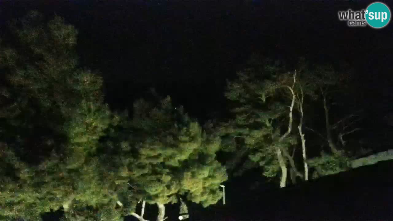 Lumbarda resort Webcam Korčula