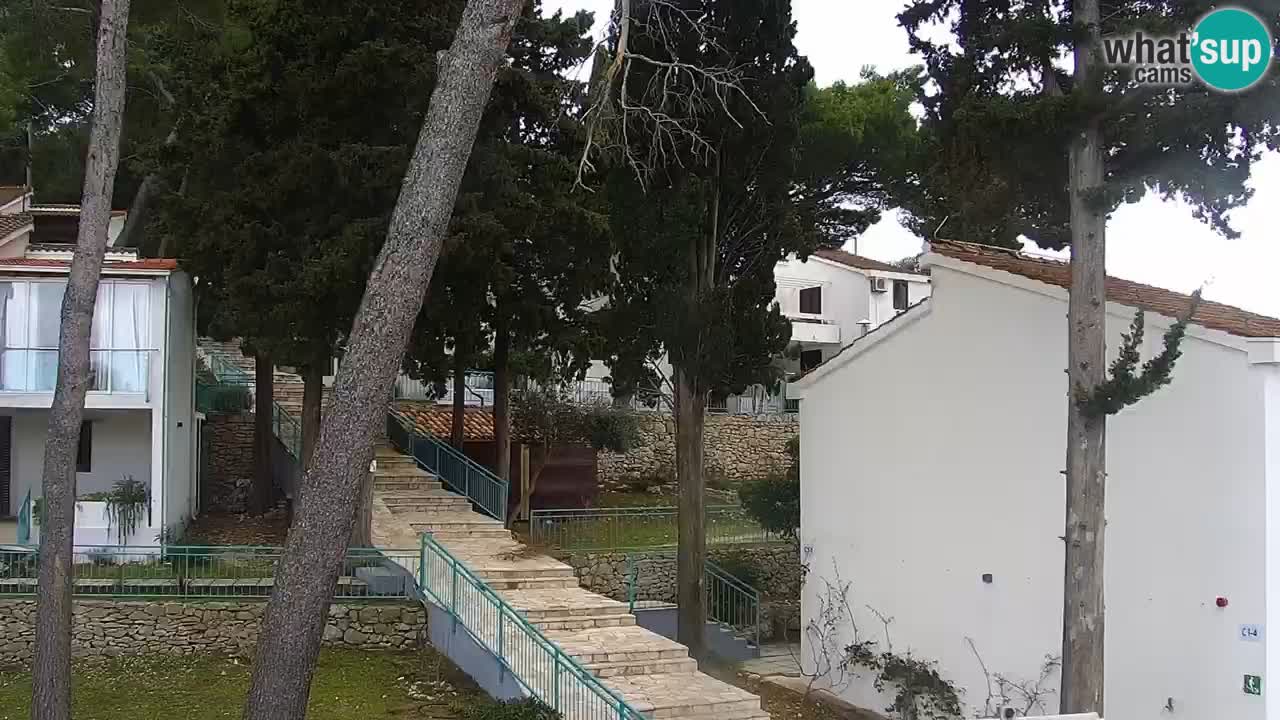 Lumbarda Resort live cam Curzola
