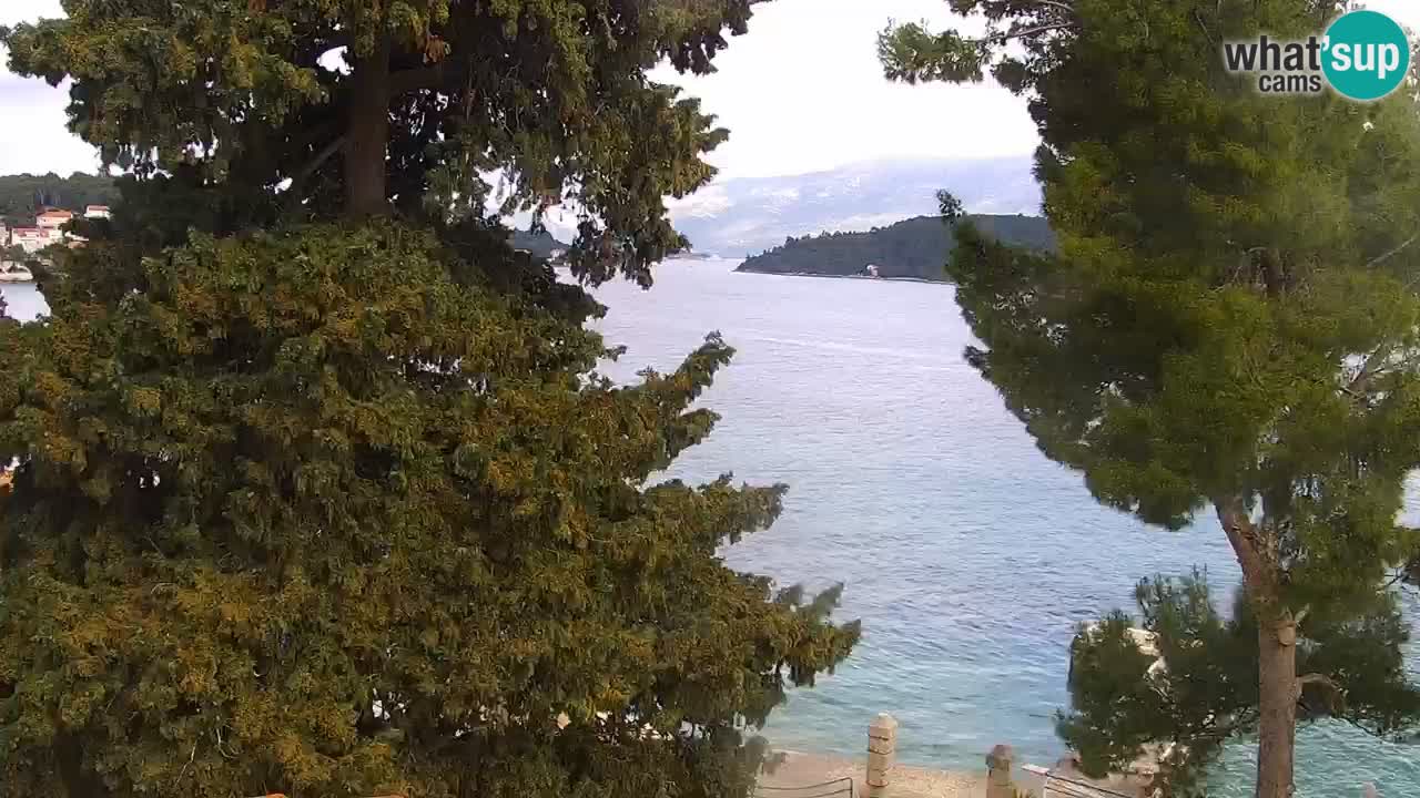 Lumbarda resort Spletna kamera Korčula
