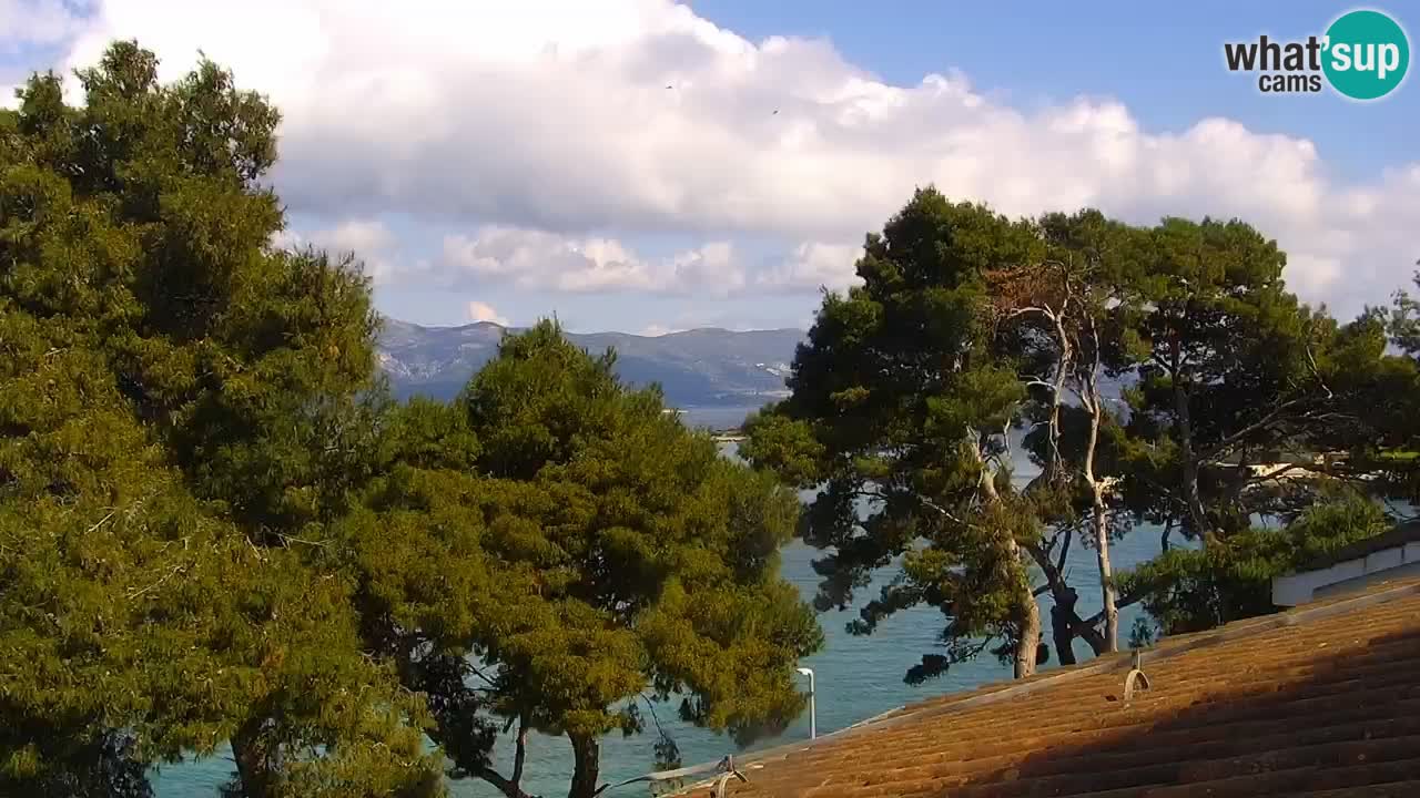 Lumbarda resort Spletna kamera Korčula