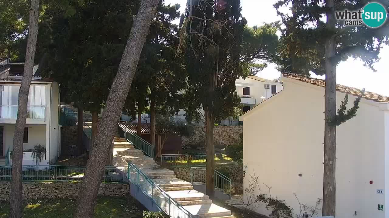 Lumbarda resort Webcam Korčula