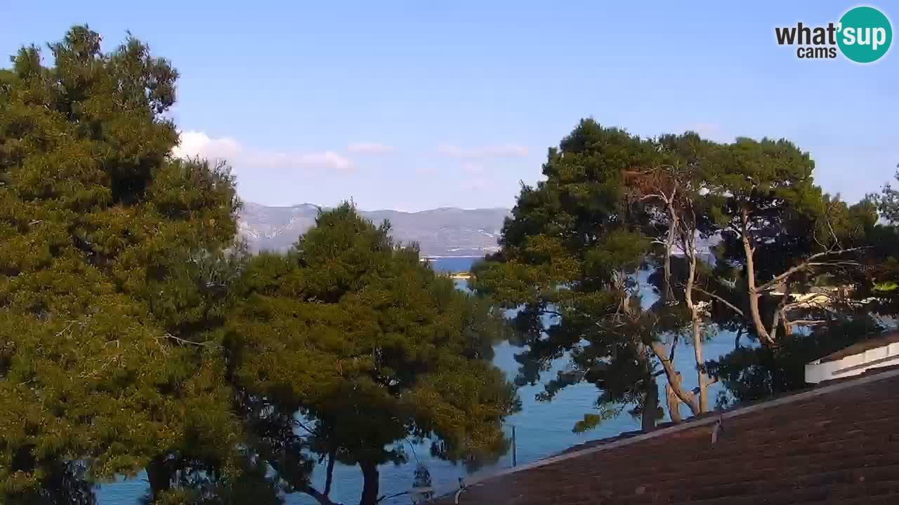 Lumbarda Resort camera en vivo Korčula
