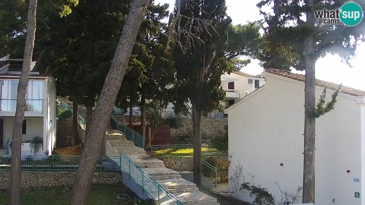 Lumbarda resort Spletna kamera Korčula