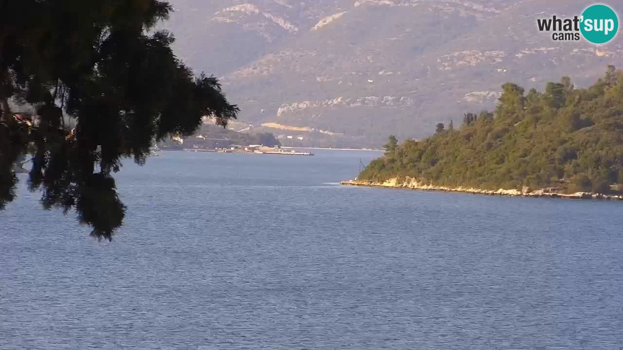Lumbarda Resort live cam Curzola