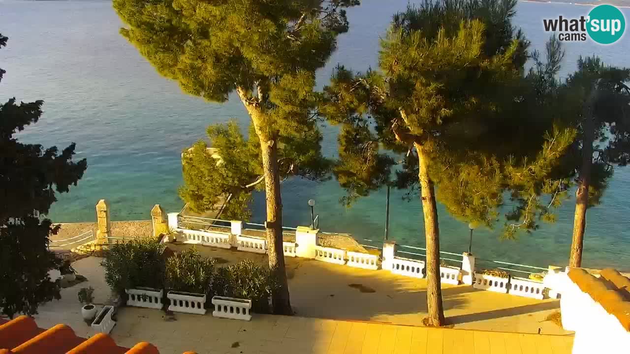 Lumbarda Resort camera en vivo Korčula