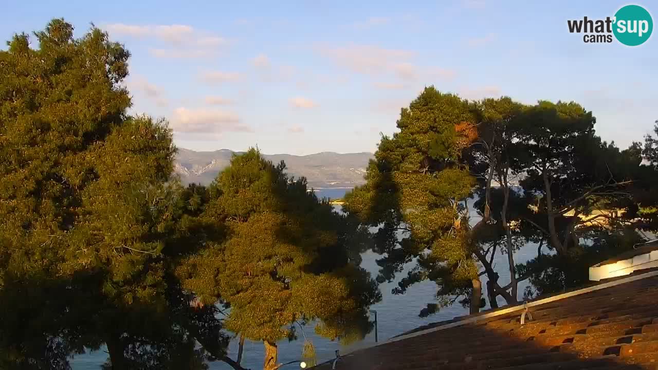 Lumbarda Resort camera en vivo Korčula