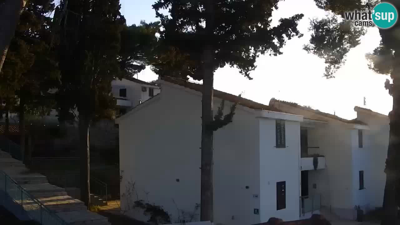 Lumbarda resort – livecam Korčula