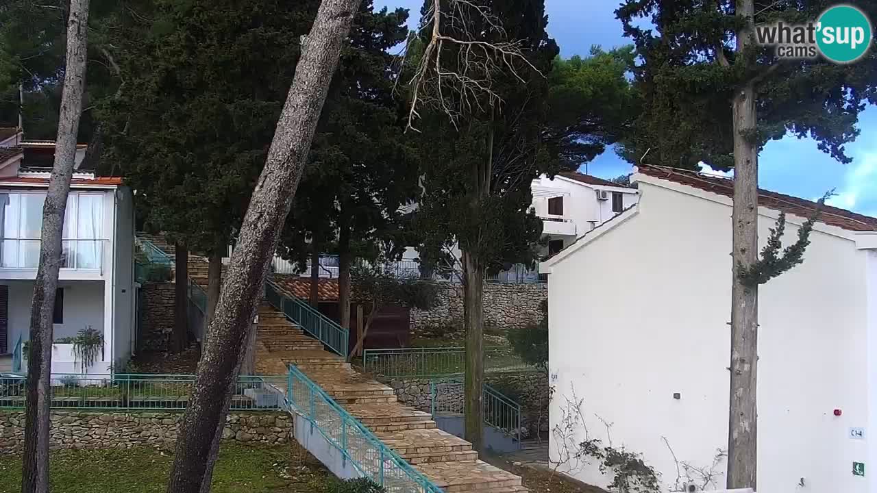 Lumbarda resort Webcam Korčula