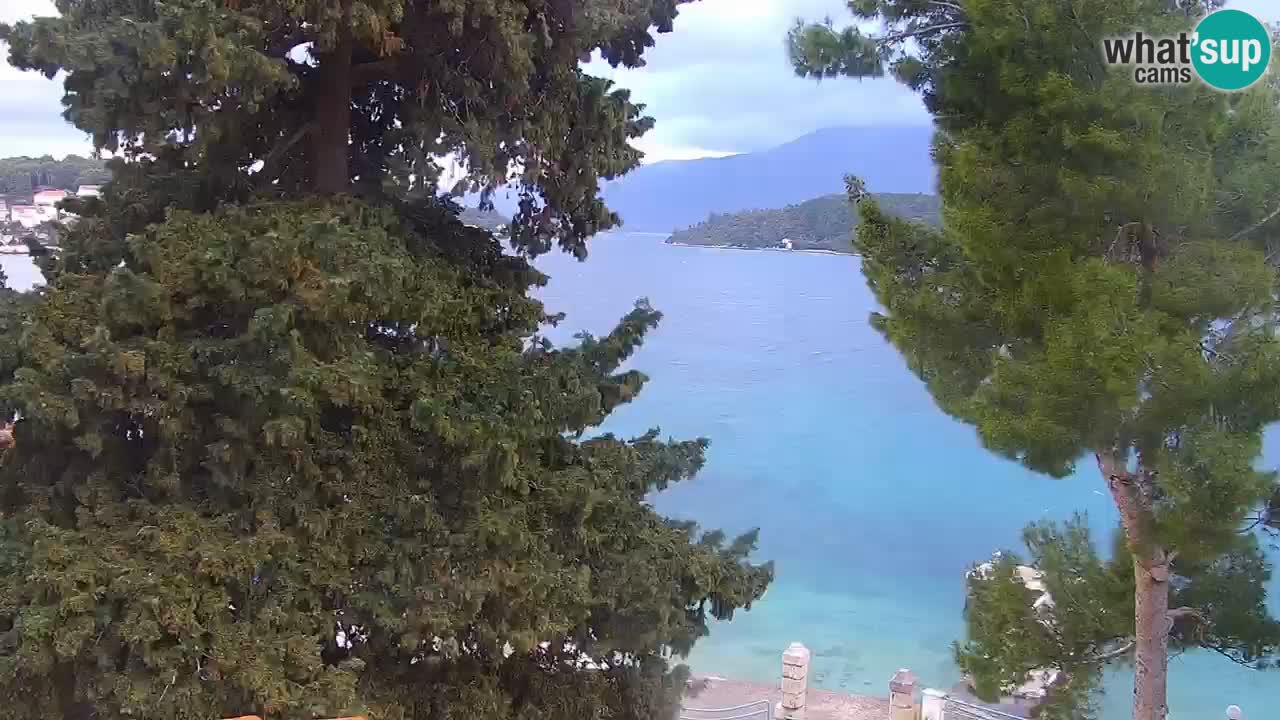 Lumbarda resort Webcam Korčula
