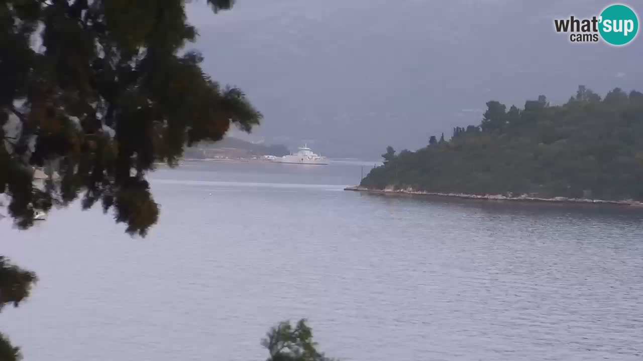 Lumbarda resort Webcam Korčula