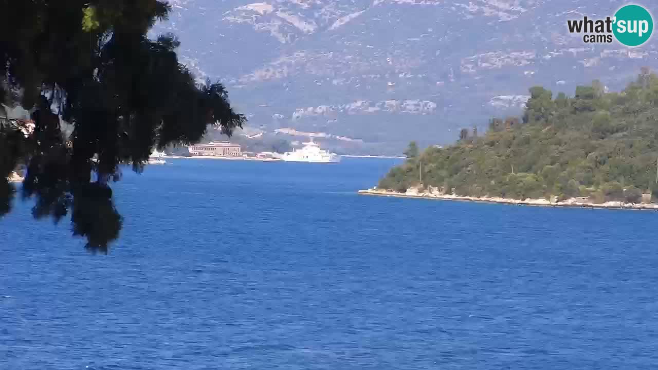 Lumbarda resort – livecam Korčula