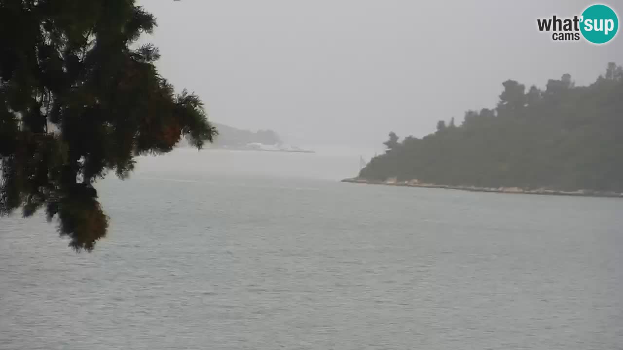 Lumbarda resort Webcam Korčula