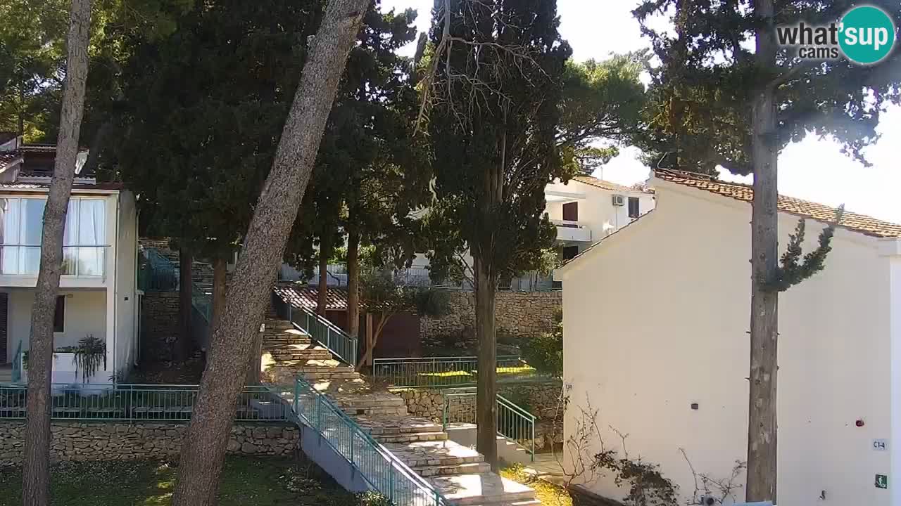 Lumbarda resort Webcam Korčula