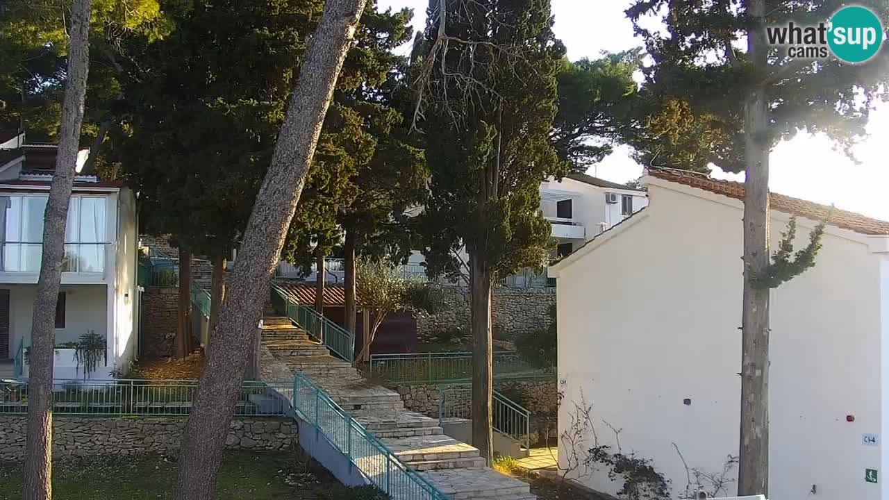 Lumbarda resort Webcam Korčula