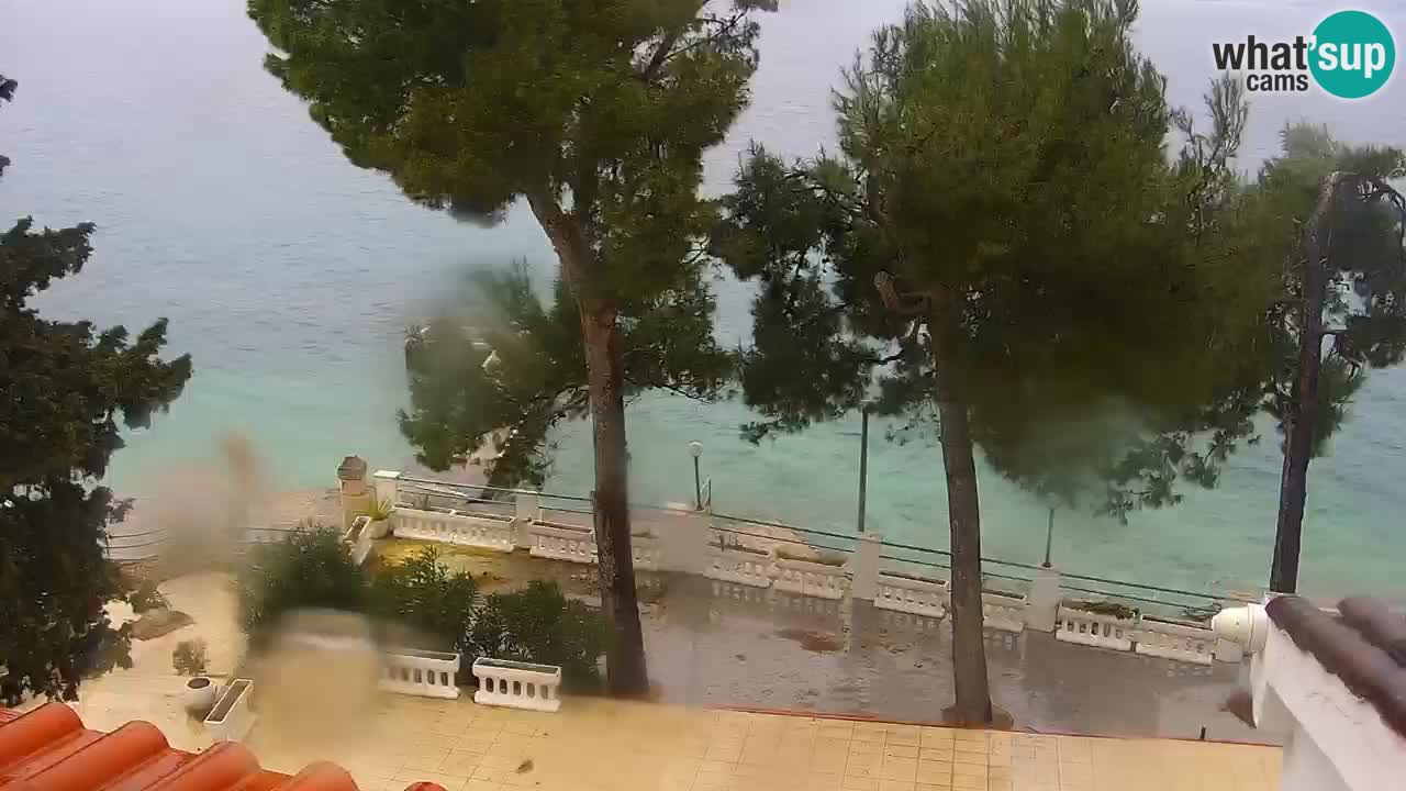 Lumbarda resort Webcam Korčula