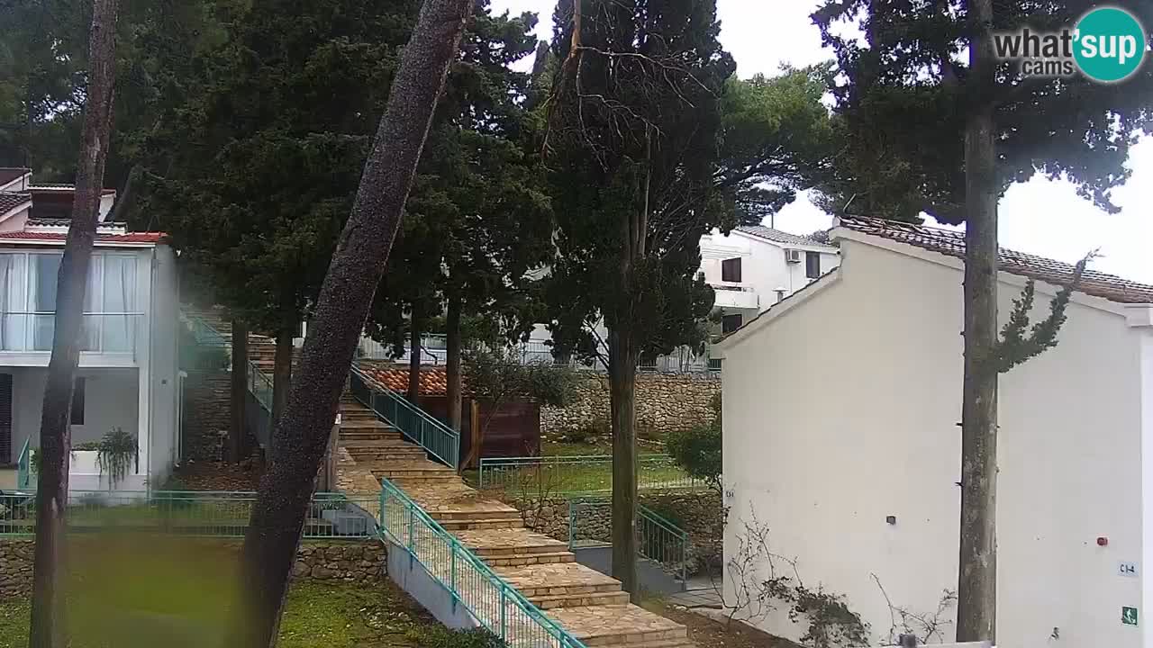 Lumbarda resort Webcam Korčula