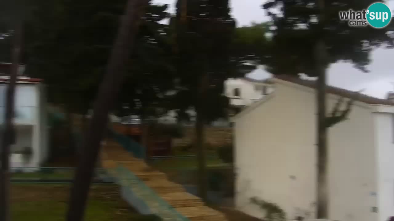 Lumbarda resort Webcam Korčula