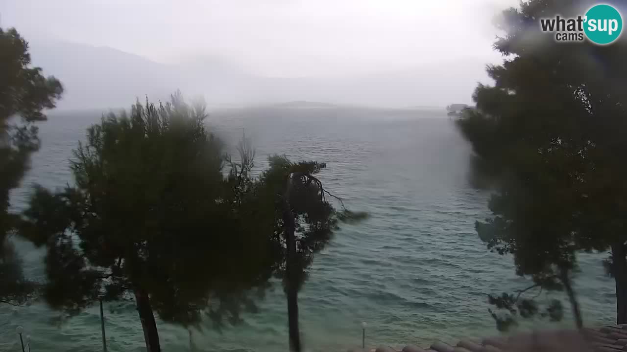 Lumbarda Resort camera en vivo Korčula