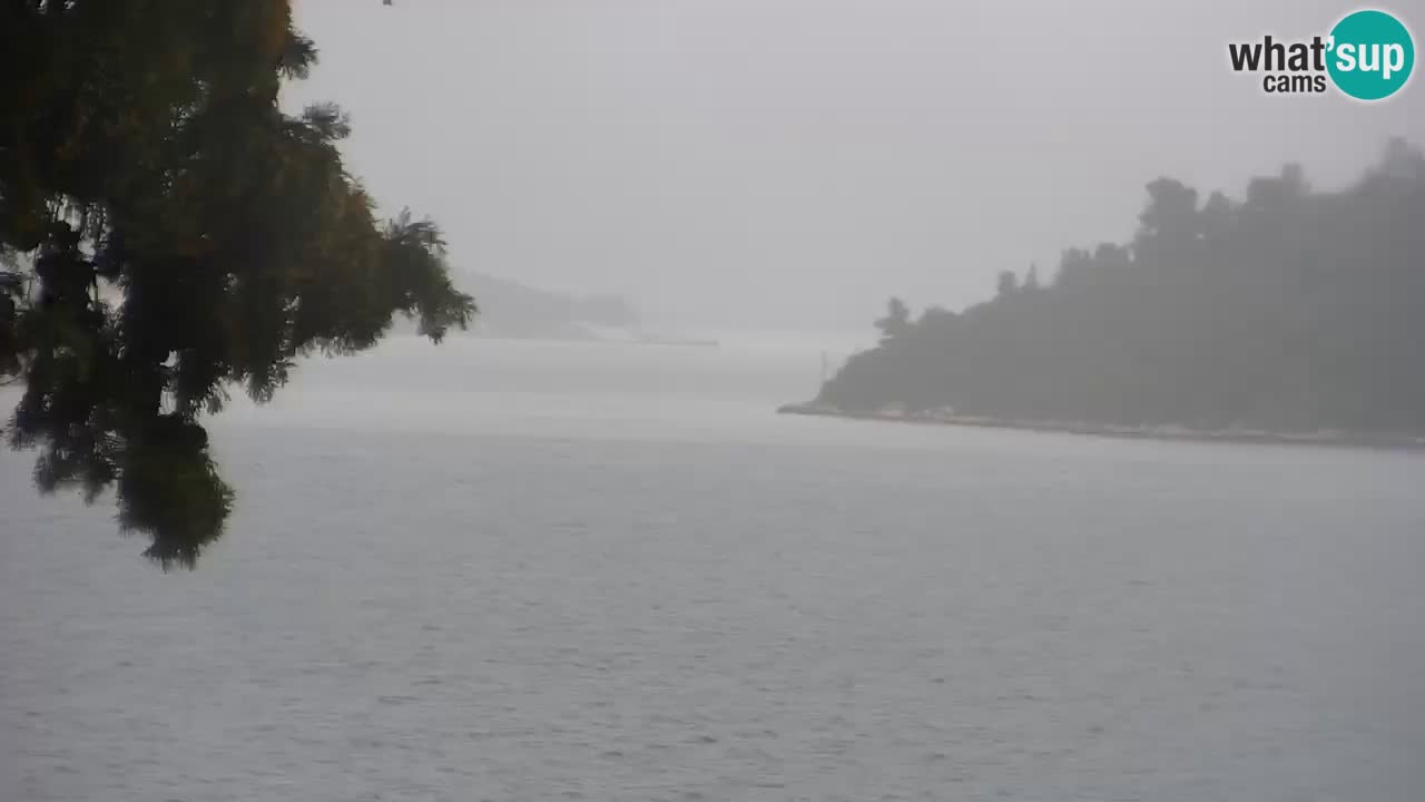 Lumbarda resort Spletna kamera Korčula