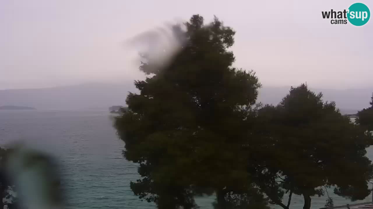 Lumbarda resort – livecam Korčula