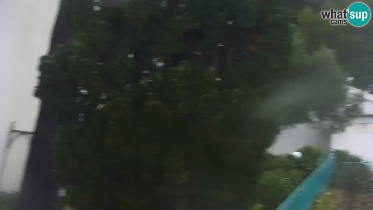 Lumbarda resort – livecam Korčula