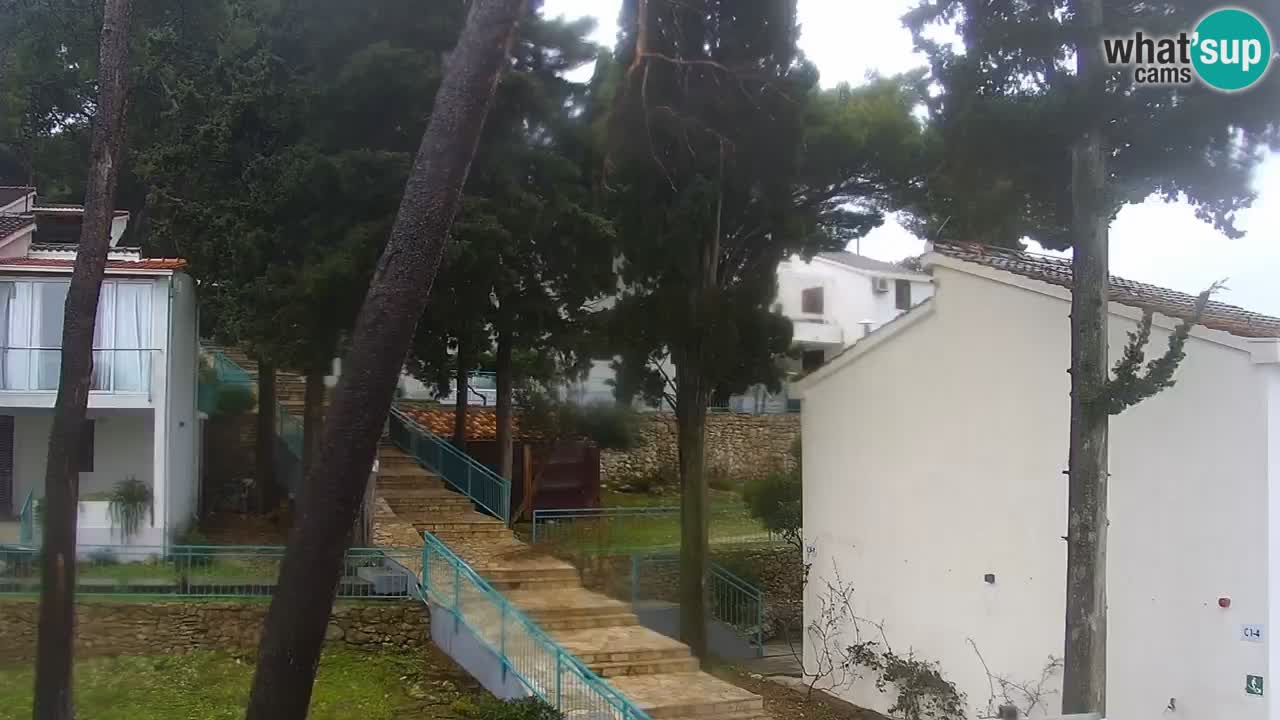 Lumbarda Resort camera en vivo Korčula