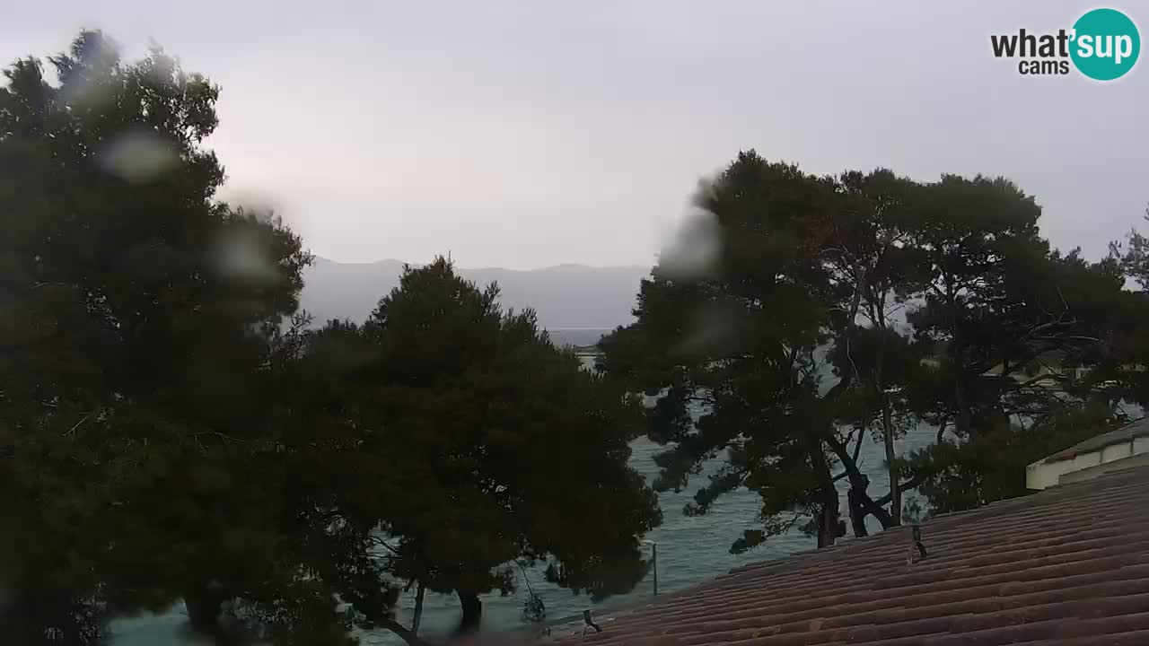 Lumbarda Resort live cam Curzola