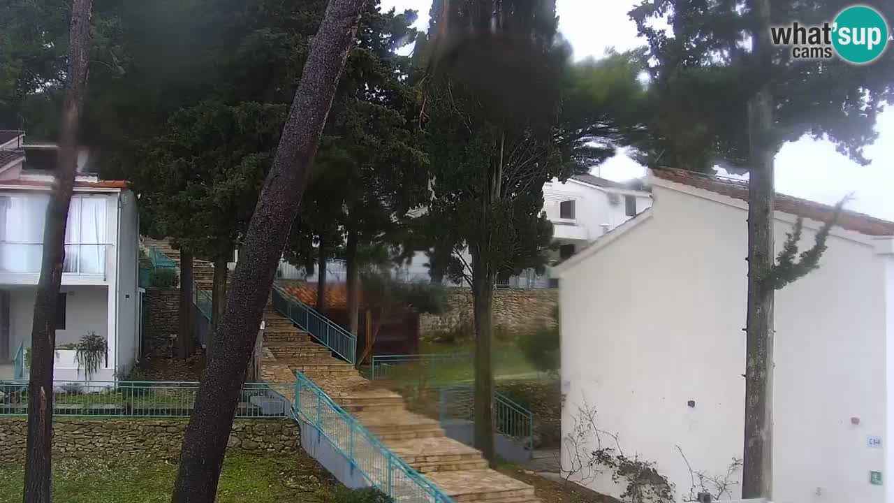 Lumbarda Resort camera en vivo Korčula