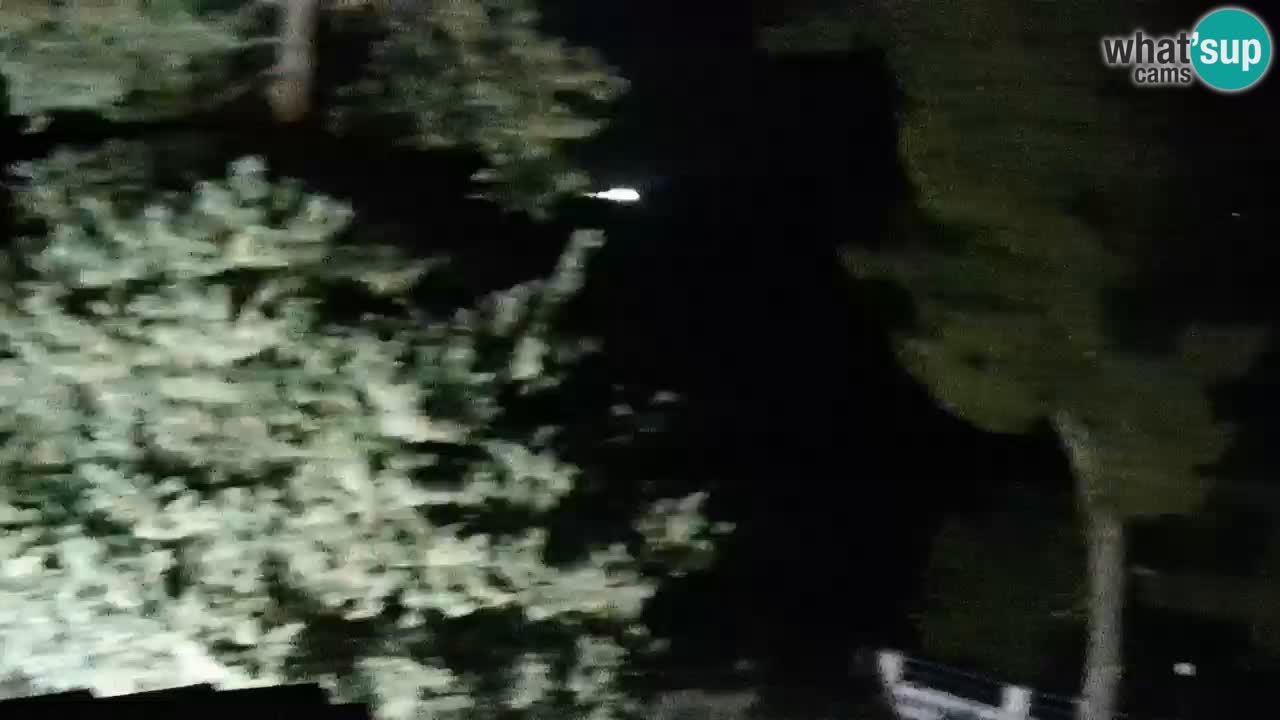 Lumbarda resort – livecam Korčula