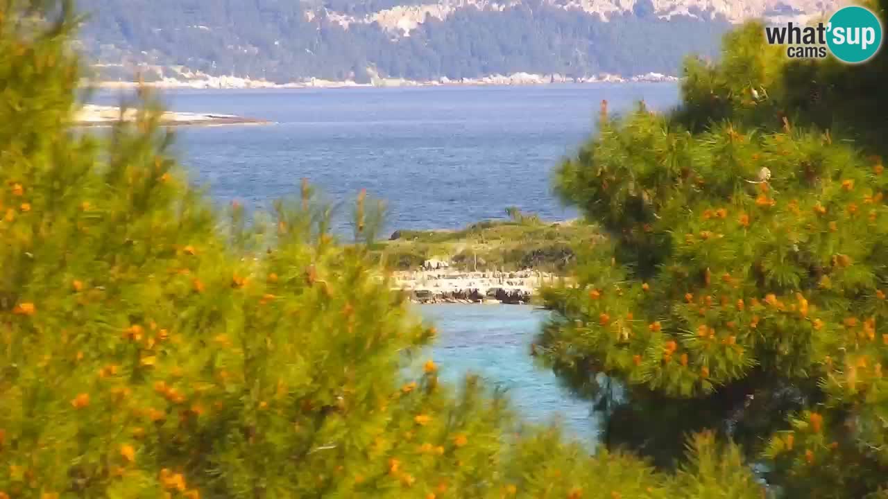 Lumbarda Resort webcam Kurzel