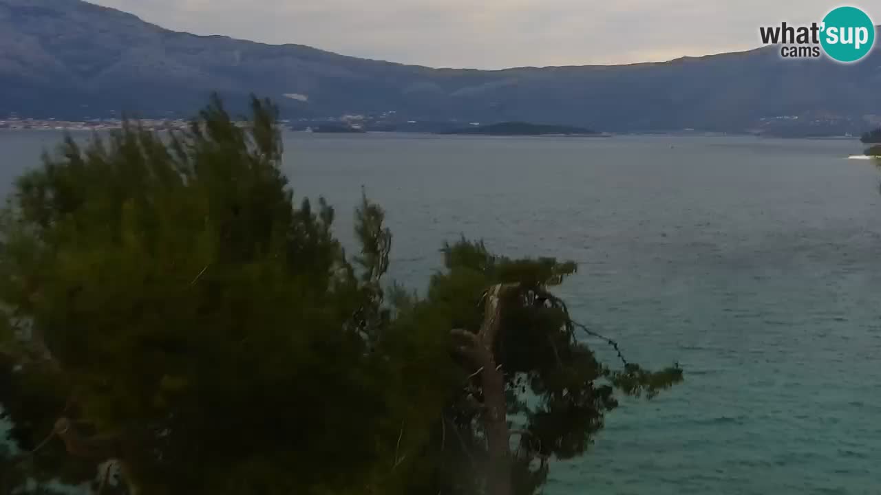 Lumbarda Resort camera en vivo Korčula