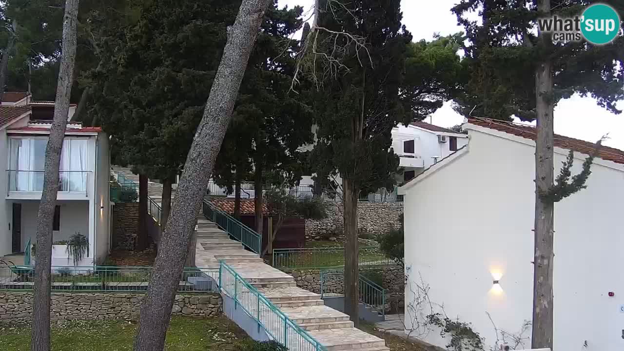 Lumbarda resort Webcam Korčula