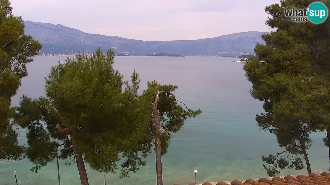 Lumbarda resort – livecam Korčula