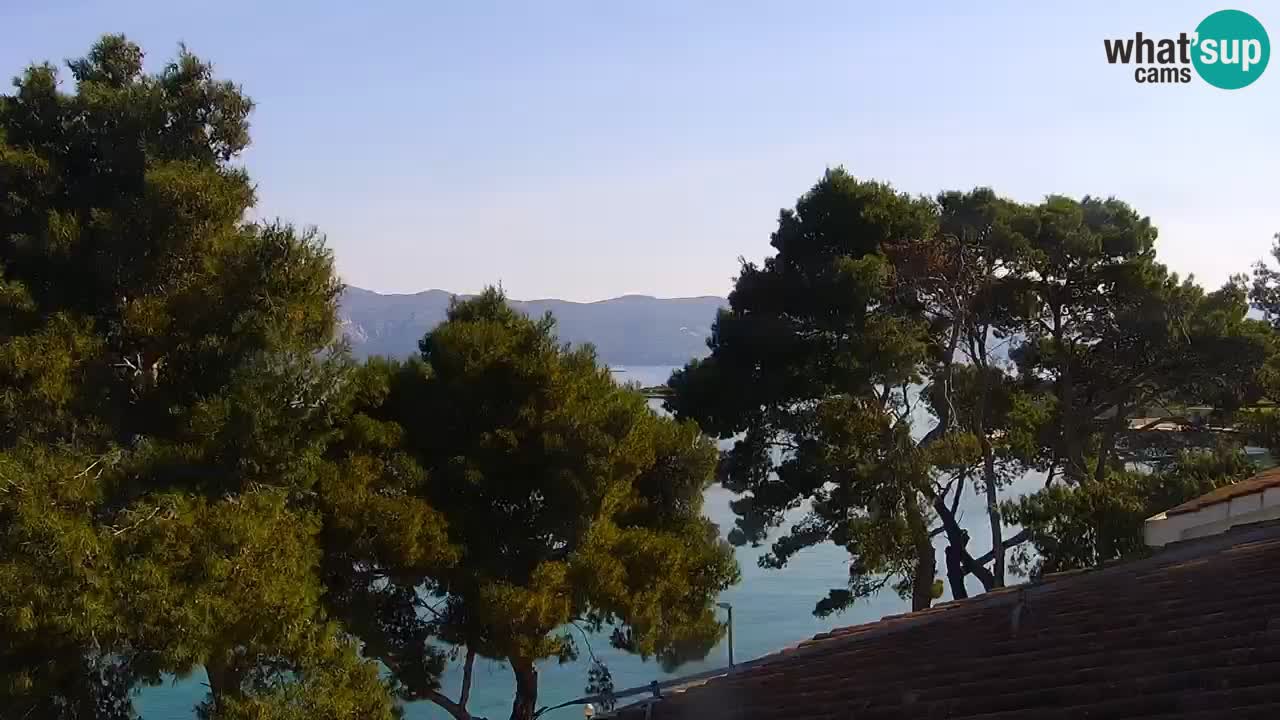 Lumbarda resort Spletna kamera Korčula