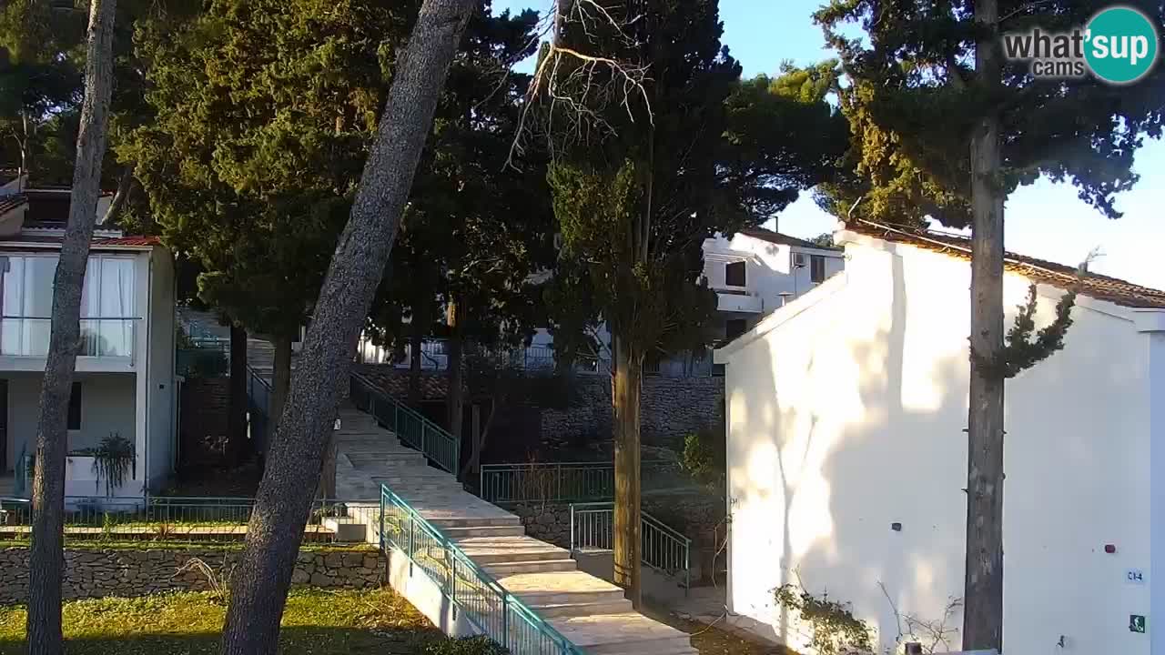 Lumbarda resort Webcam Korčula