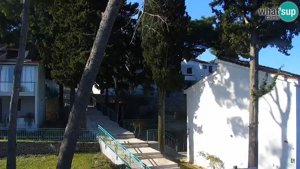 Lumbarda resort – livecam Korčula