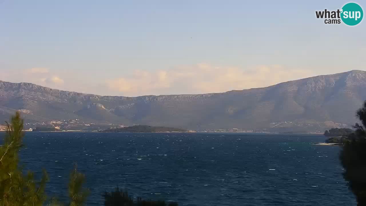 Lumbarda resort – livecam Korčula