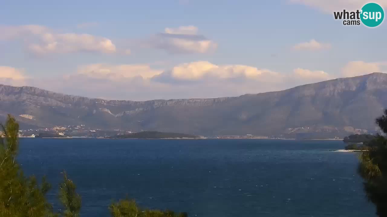 Lumbarda Resort camera en vivo Korčula