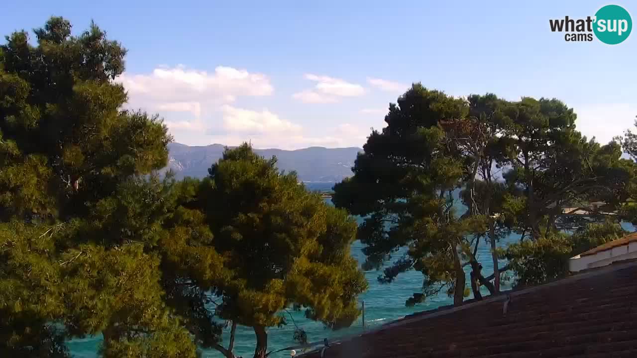Lumbarda Resort live cam Curzola