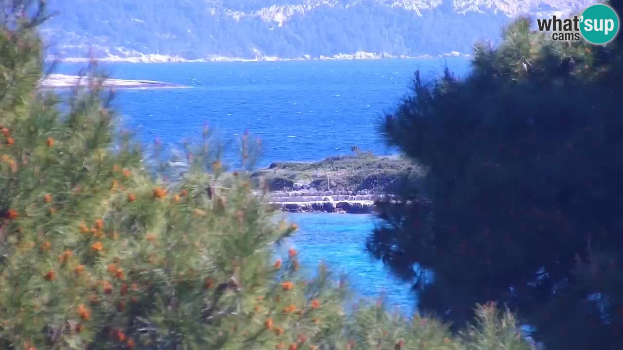 Lumbarda resort – livecam Korčula