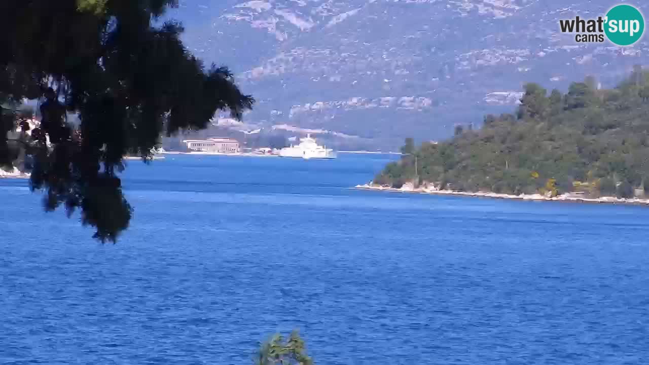 Lumbarda Resort camera en vivo Korčula